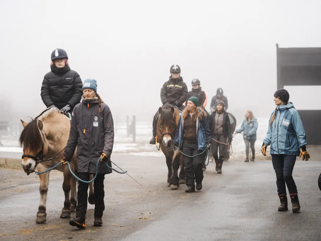 En gruppe unge voksne rir ute. Foto: ©Cecilie Hatløy