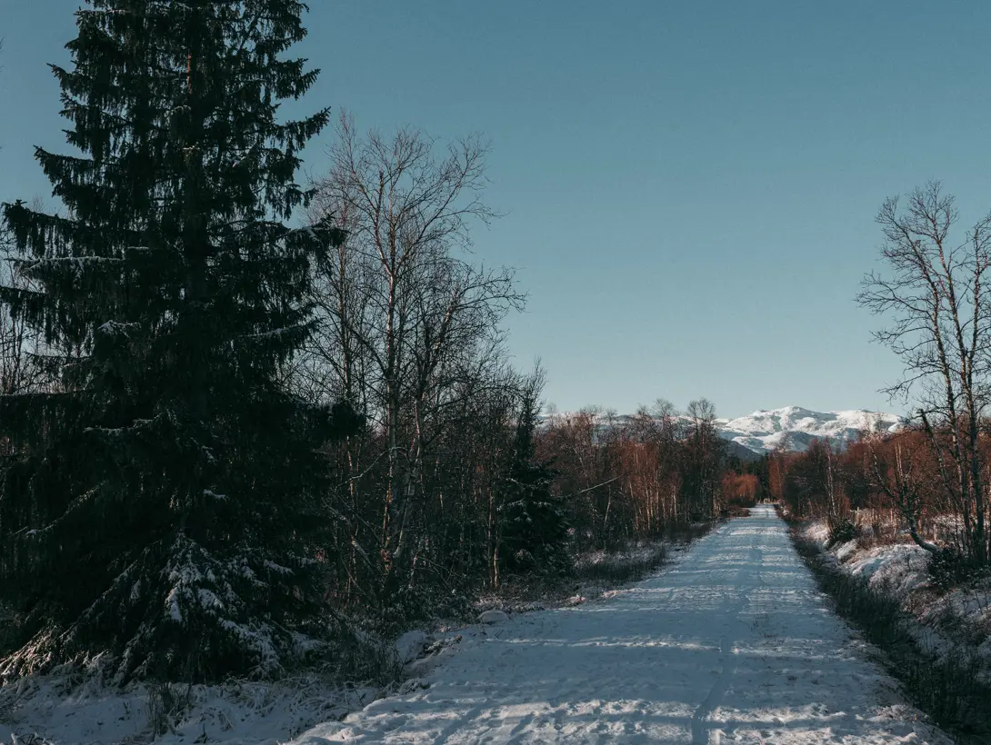 Fuglemyrvegen med nysnø. Foto: ©Cecilie Hatløy