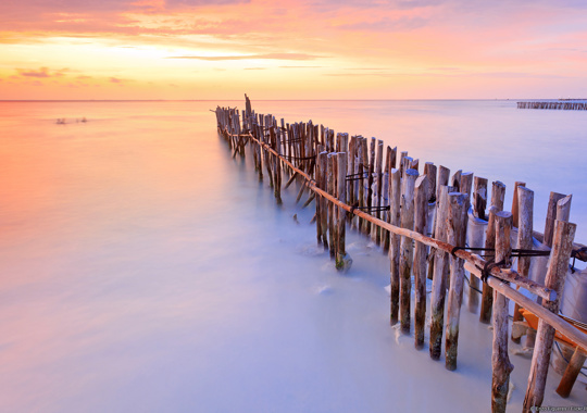 2E35262e A9ff 43A9 Ba6a 888B5c2f6a60 5