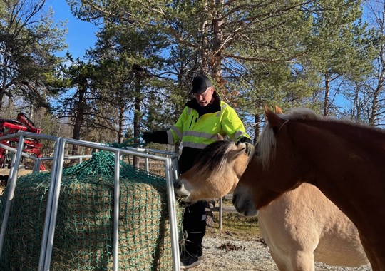 Vaktmester sørger for påfyll av mat til hestene Valmet og Rødi  
